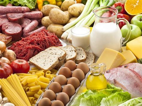 Альтернативы молока после эпизода рвоты: какие продукты питания приемлемы для собаки