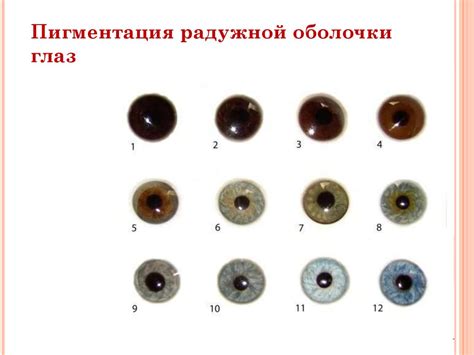 Биологические факторы, влияющие на окраску глаз у жителей Турции