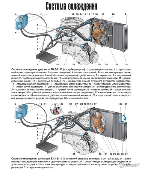 Важное значение расположения датчика реверса zf16 для эффективной работы системы