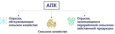 Важные нюансы после очистки истории оперций в Банке для развития АПК
