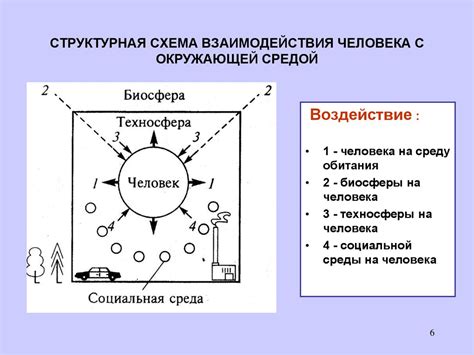Взаимодействие мерцательного эпителия с окружающей средой: факторы, влияющие на его эффективность