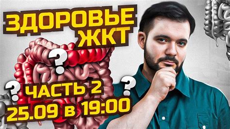 Влияние иван-чая на работу желудочно-кишечного тракта и возможные факторы развития диареи