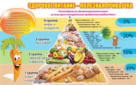 Влияние образа жизни и рациона питания