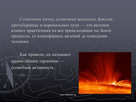 Влияние освещенности на биологические циклы и физическое благополучие
