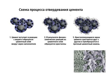 Влияние процесса разморозки на качество сала