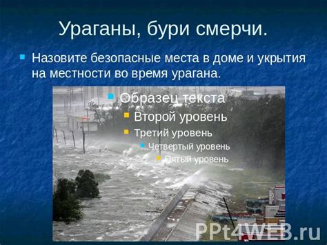Влияние хищников на выбор места укрытия птицами во время дождя