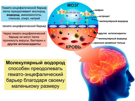 Воздействие паров антифриза на нервную систему: значимые последствия для здоровья
