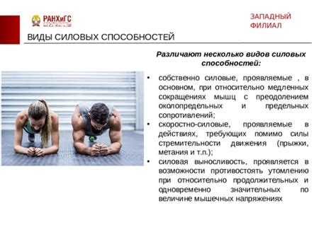 Возможности регистрации различных видов силовых воздействий