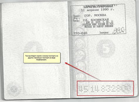 Где узнать номер отдела в пасспорте: ключевая информация