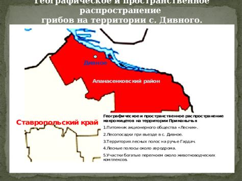 Географическое пространственное распространение ароматного ореха в северных районах округа