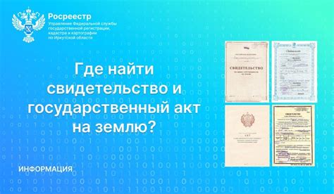 Государственные организации, где доступна документация об отсутствии огнестрельного оружия