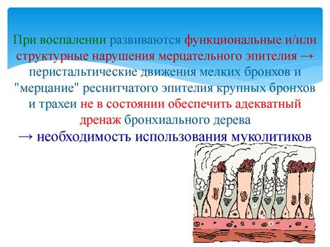 Заболевания и нарушения функционирования мерцательного эпителия