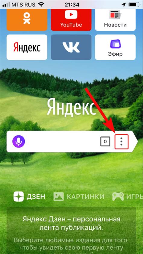 Загрузка мобильного приложения Алисы и вход в личный кабинет