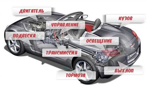 Зачем нужно хранить сведения о кодах кузова и мотора
