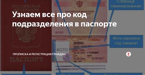 Значение кода подразделения в узбекском паспорте