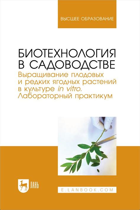 Значение правильного ухода за эффективными помощниками в садоводстве