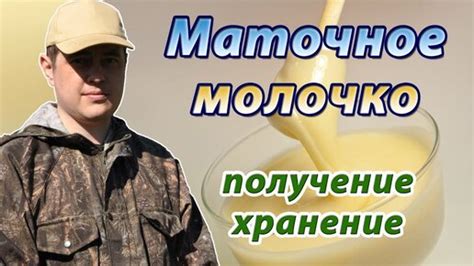 Значение правильного хранения маточного молочка
