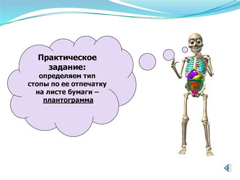 Значение правильной реализации местоположения резервуара для работы с портером 1