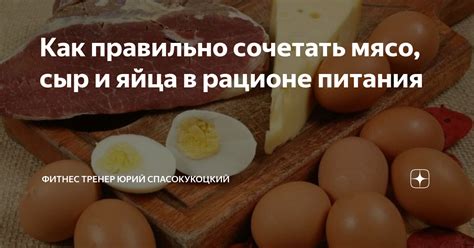 Значимость и особенности нори в рационе питания