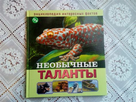 Идеальный сезон для сбора баголи в Тверской местности