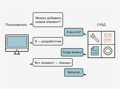 Изучаем основную информацию о местных данных и их роли в функционировании платформы Steam