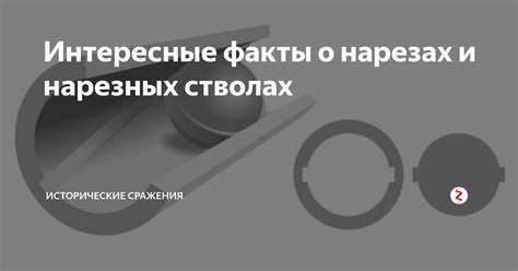 Интересные факты о стволах и практичности их использования в навигации