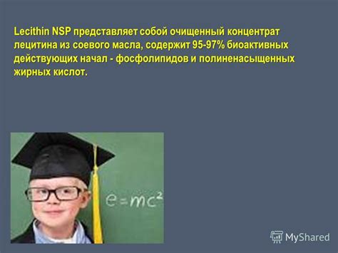 Исследование характеристик холина и лецитина