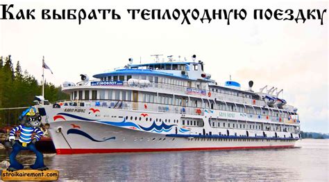 Как выбрать теплоходную компанию для путешествия с домашним питомцем