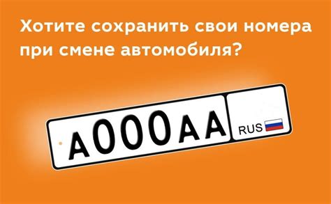 Как определить место хранения кузовного номера в документах вашего автомобиля Рено Клио