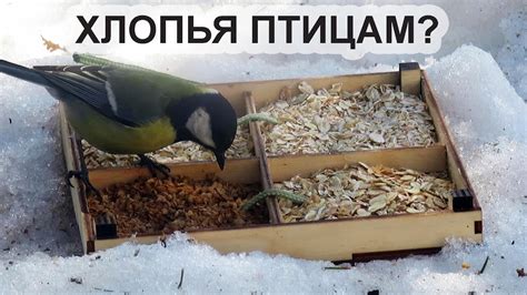 Категории смешивания перловки с другими кормами для птиц