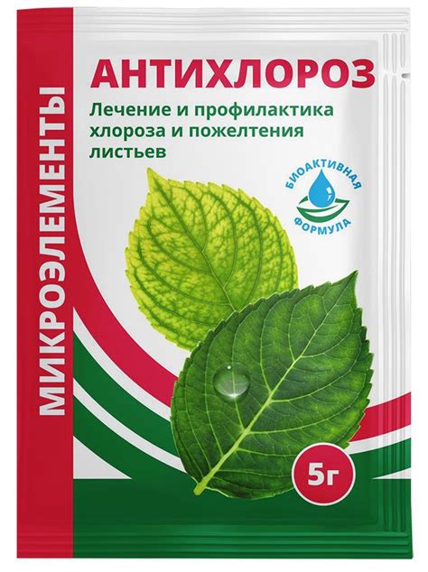 Корректная дозировка Мотилиума для эффективного устранения рвоты у питомцев