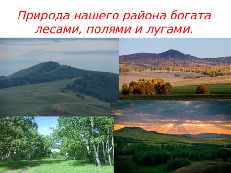 Лесные уголки нашего района, богатые ценными природными дарованиями