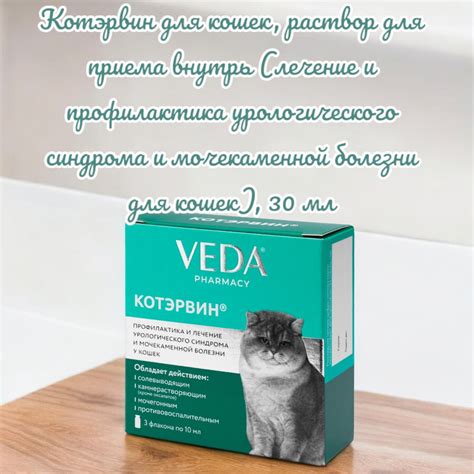Лечение гепаторенального синдрома у кошек