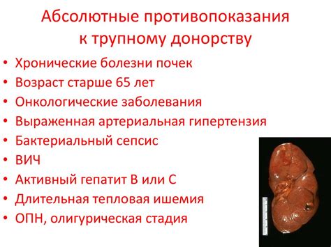 Медицинский осмотр и требования к донорству почки