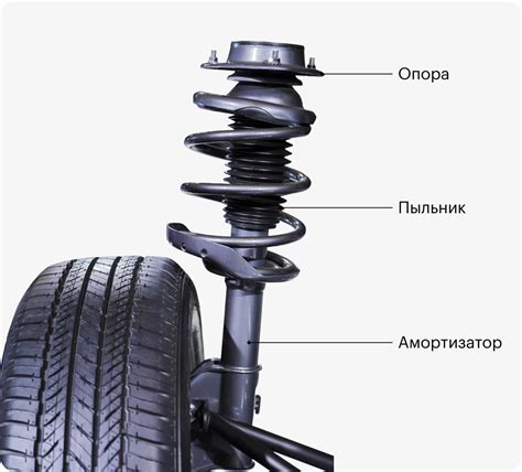 Местоположение амортизатора на двигателе автомобиля: основные участки