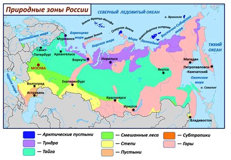 Место №3: Область, где расположена информация о производителе