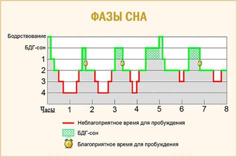 Механизмы, обеспечивающие способность сороконожек проникать на территорию человеческого сна