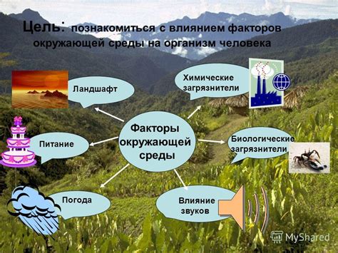 Микроорганизмы и загрязнение: потенциальная угроза для здоровья