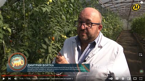 Минимизация разрастания сорняков и защита растений