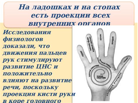 Мнения ученых и правовых органов о знаке среднего пальца