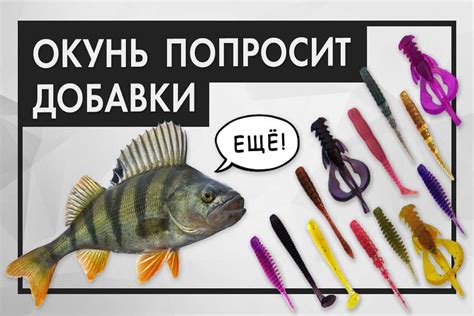 Могучая сила приманок: секреты выбора и применения
