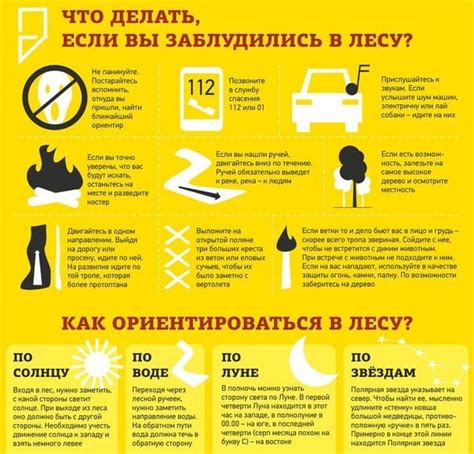 Найден лишь тщетный поиск: что делать, если нужный номер "потерялся"