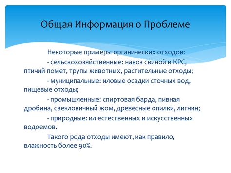 Общая информация о существующей проблеме