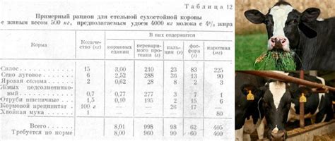 Определение основных характеристик питательных коров