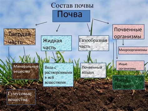 Основные аспекты состава почвы для эффективной добычи навозных червей