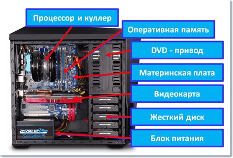 Основные компоненты, где возможно размещение защитного устройства