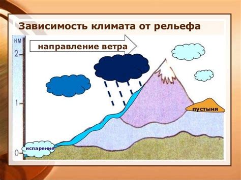 Особенности климата и рельефа, подходящие для развития формирования брусники