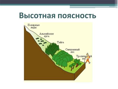 Особенности природы и рельефа в окрестностях города