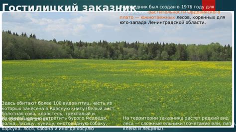 Особенности распространения и мест обитания лещины в Ленинградской области