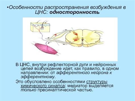 Особенности распространения ультразвука внутри помещений